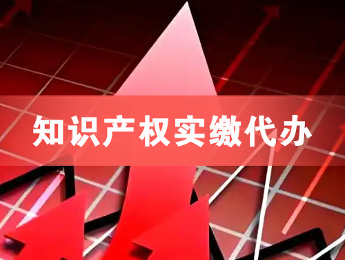 辉县知识产权实缴资本代办